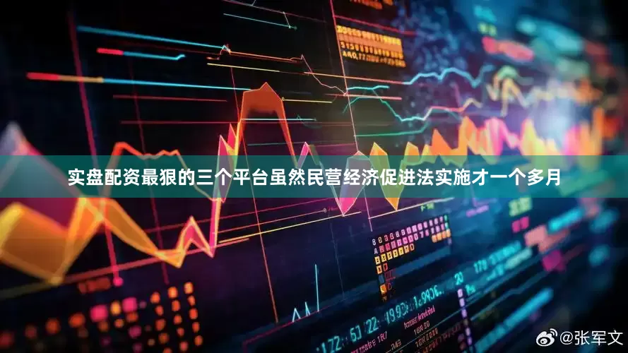 实盘配资最狠的三个平台虽然民营经济促进法实施才一个多月