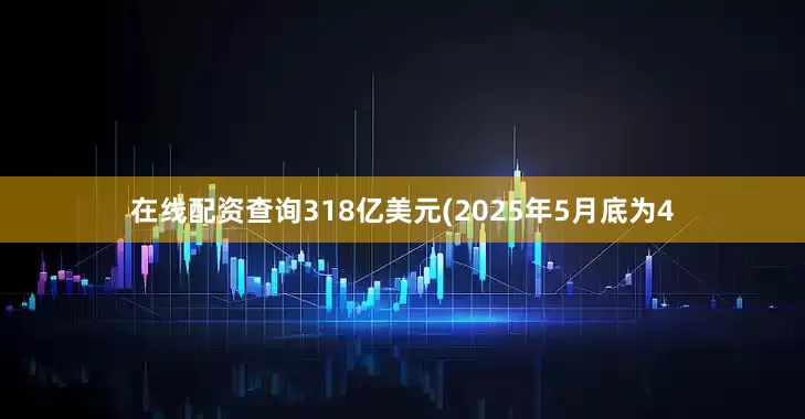 在线配资查询318亿美元(2025年5月底为4