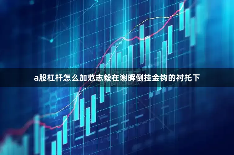 a股杠杆怎么加范志毅在谢晖倒挂金钩的衬托下