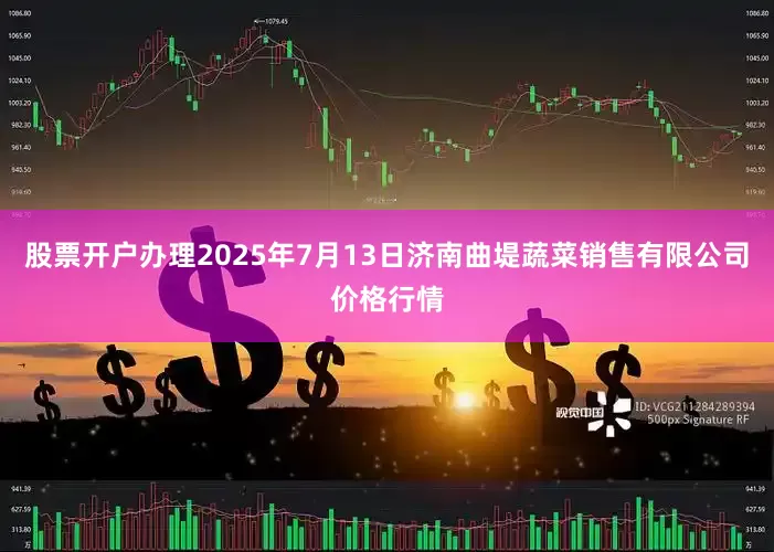 股票开户办理2025年7月13日济南曲堤蔬菜销售有限公司价格行情