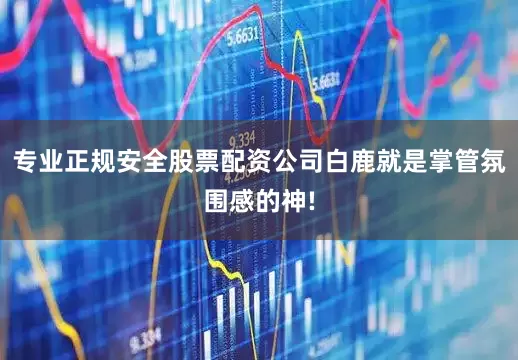 专业正规安全股票配资公司白鹿就是掌管氛围感的神!