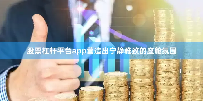 股票杠杆平台app营造出宁静雅致的座舱氛围